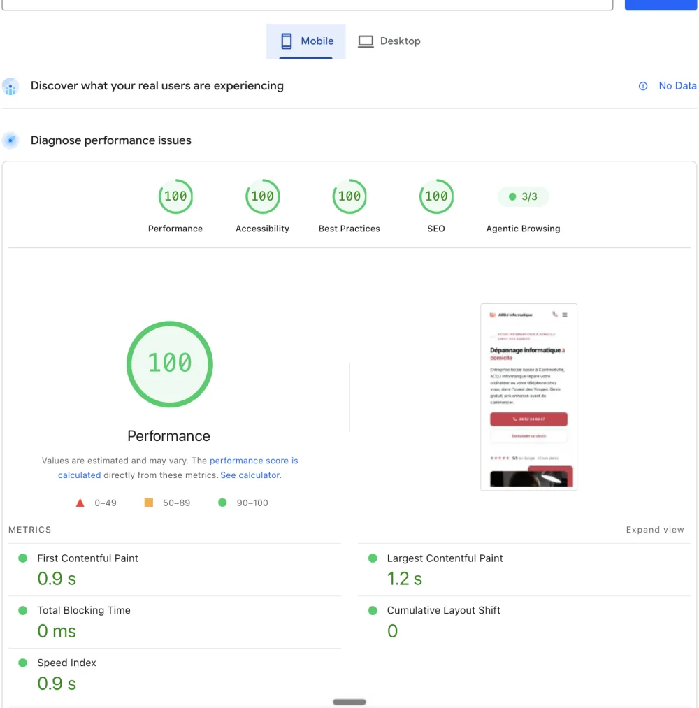Capture PageSpeed mobile d’ACDJ Informatique après la refonte : performance 100 et LCP de 1,2 s